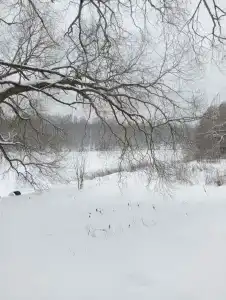 Веселый Роджер - 60