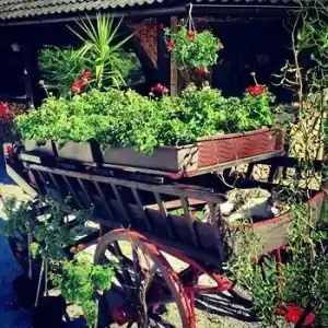 Pension & Glamping Pibernik - 2