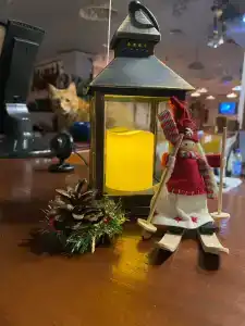 Гостевая Изба на Истре - 70