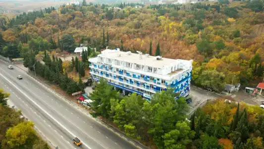 Борода - 29