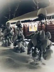 Катунино - 31