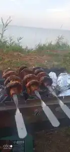 Печора - 48