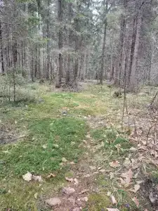 Любашин хуторок - 5