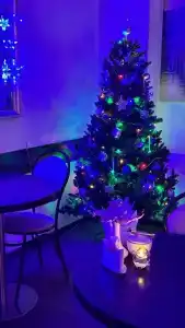 Соната Дворцовая площадь - 32