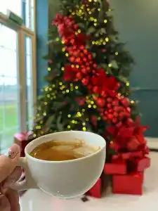 Заречный SGH - 16