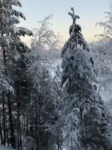 Хутор Марья - 38