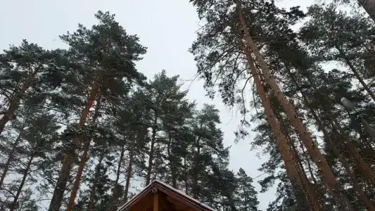 Солнечный мыс - 18