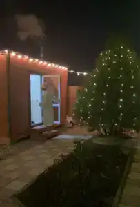 Зеленый слон - 16