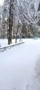 Лесная здравница - 17