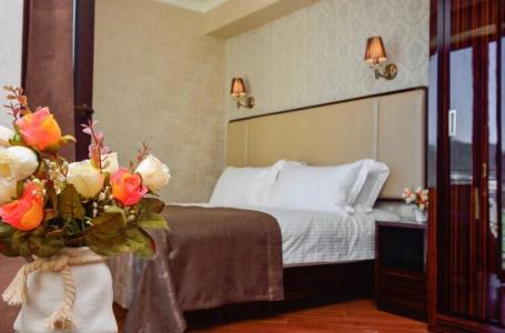 King David Bakuriani - 28