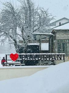 King David Bakuriani - 12