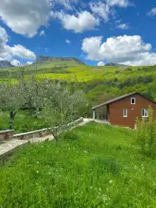 Дюльбер - 3