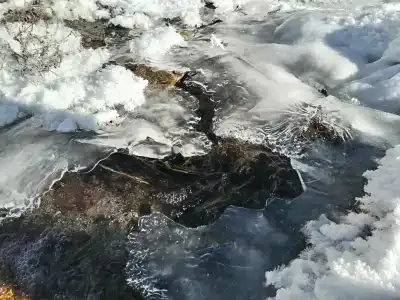 Чечкыш - 58