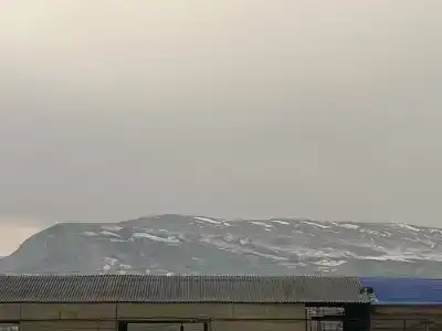 Папаха - 36