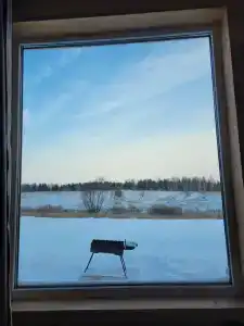 Бал - 31