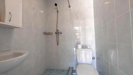 Дельфиния - 41