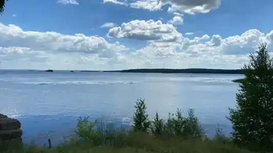 Лесное озеро - 48