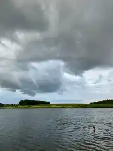 Золотая рыбка - 28