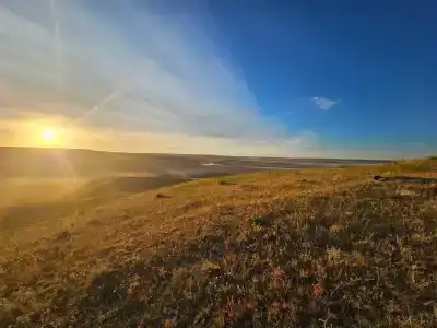 Ягодная Поляна - 35