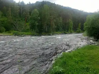 Закуток - 49