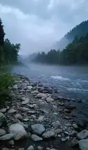 Закуток - 4