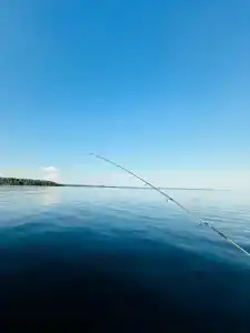 Мантиансаари - 18