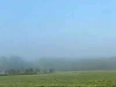 Королевская охота - 59