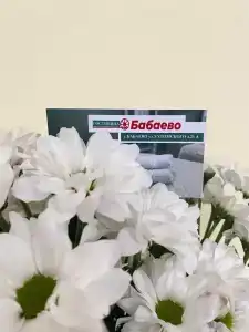 Бабаево - 31