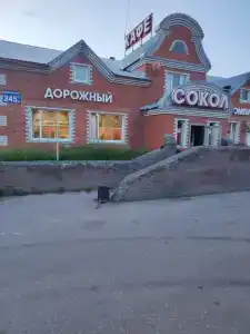 Сокол - 7