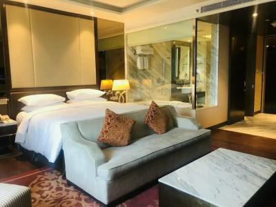 Radisson Blu Jaipur - 78