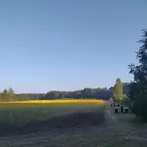 Белое озеро - 23