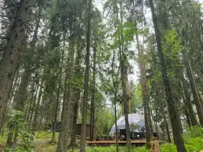 Villy Uley Karelia (Вили Улей Карелия) - 42