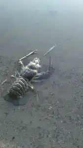 Озерная 38 - 38