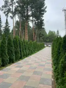 Райский уголок - 4