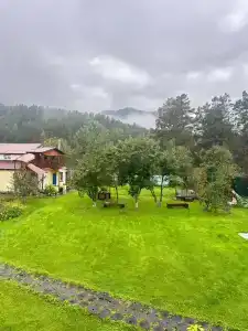 Усадьба Зыряновых - 21