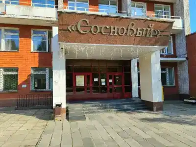 Березовая роща - 3