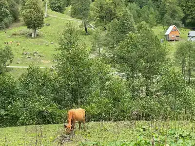 Auadkhara - 21