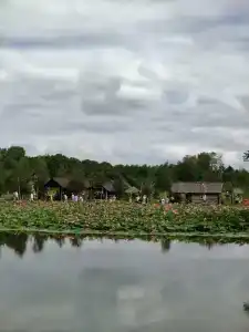 Хуторок - 16
