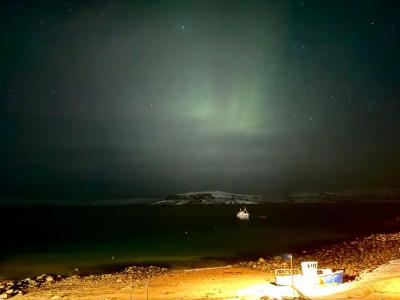 Cedar Grass Териберка - 90