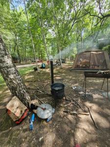 Металлист - 81