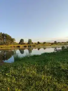 Золотая рыбка - 45