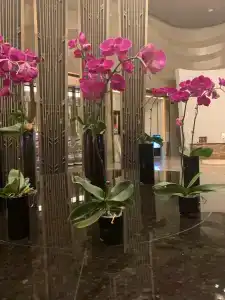 Wanda Vista Dongguan - 7