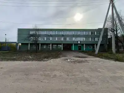 Сова - 4