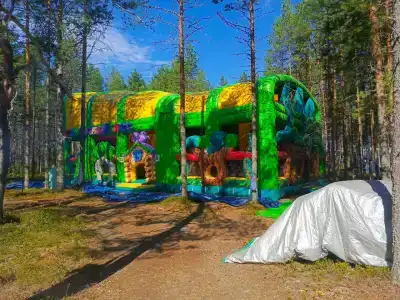 Северное сияние - 25