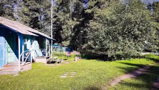 Волна - 42