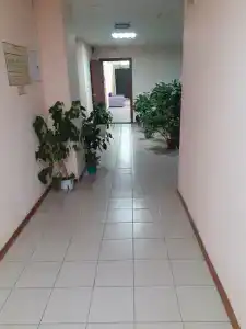 Урал - 2