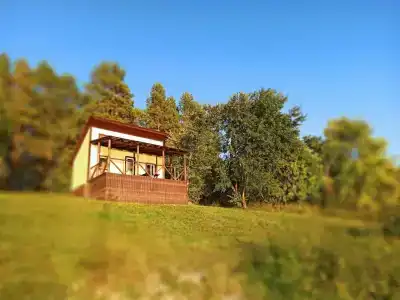 Пчелинцево - 9
