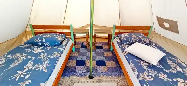 Сибарит - 10
