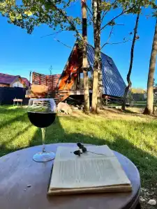 Ильинка лес - 7