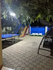 Лидия Плюс - 10